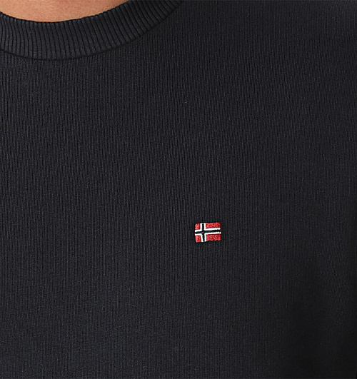 NAPAPIJRI