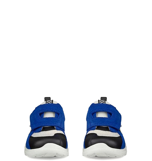 ECCO